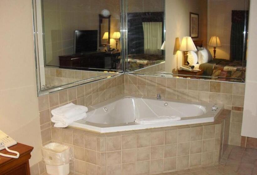 חדר סטנדרט עם מיטת קינג, Best Western River Cities