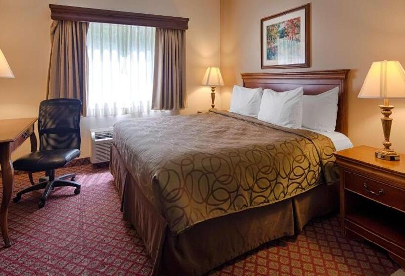 חדר סטנדרט עם מיטת קינג, Best Western River Cities