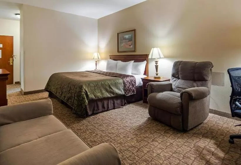 身障者適用キングサイズベッドルーム, Best Western River Cities