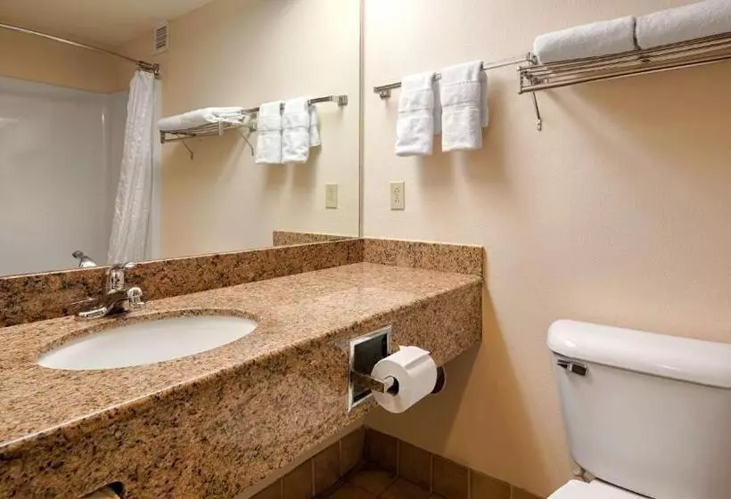 身障者適用キングサイズベッドルーム, Best Western River Cities