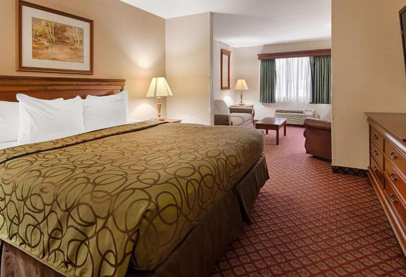 חדר סטנדרט, מיטת קינג, מותאם לאדם עם מוגבלויות, Best Western River Cities