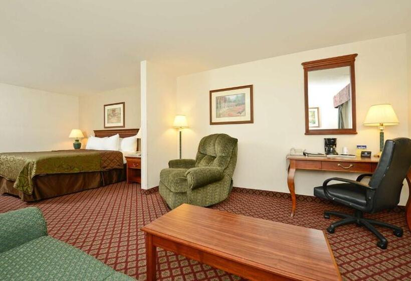 חדר סטנדרט, מיטת קינג, מותאם לאדם עם מוגבלויות, Best Western River Cities