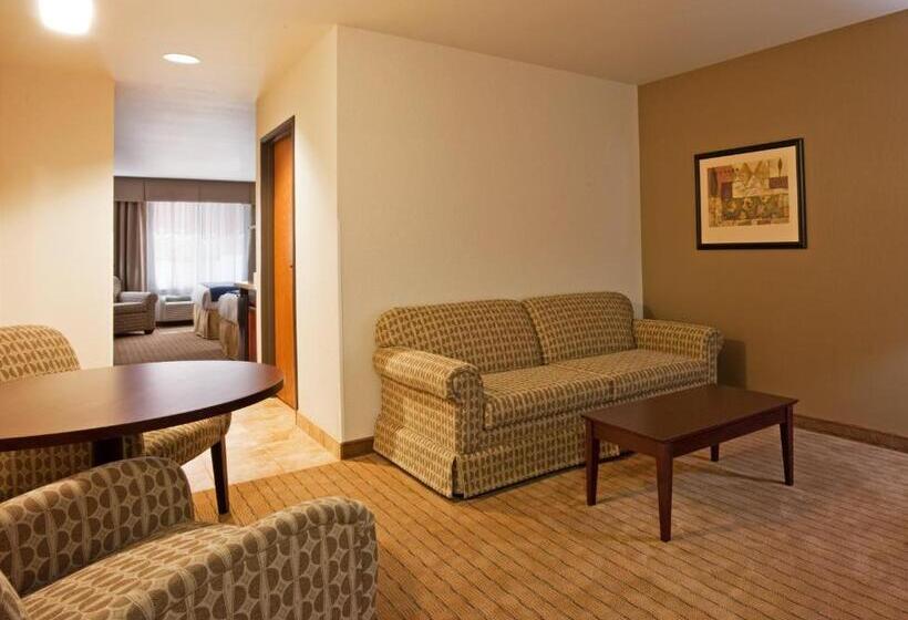 جناح ديلوكس, Holiday Inn Express Hotel & Suites Antigo, An Ihg