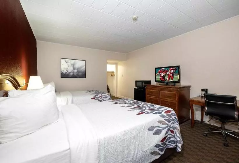 デラックスルーム, Red Roof Inn & Suites Hazleton