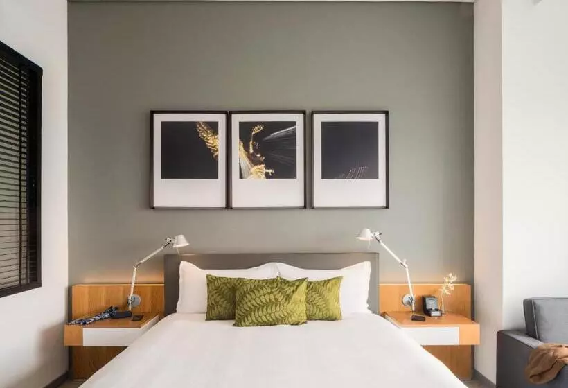 プレミアムルーム, The Paragon Hotel Mexico Santa Fe By Accor