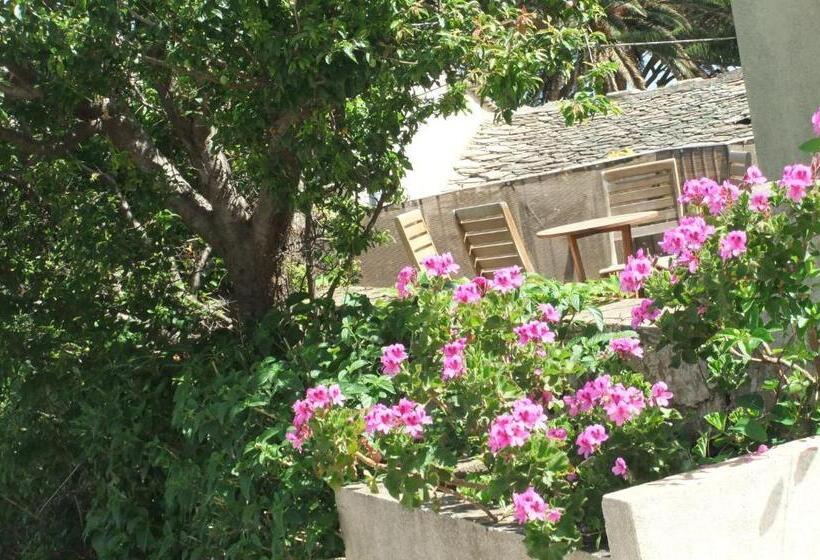 Номер Стандарт, U Pozzu