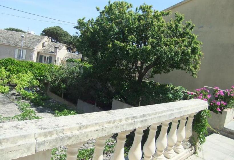 Номер Стандарт, U Pozzu