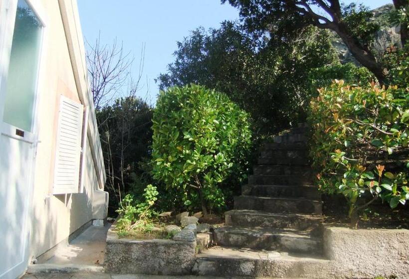 Номер Стандарт, U Pozzu