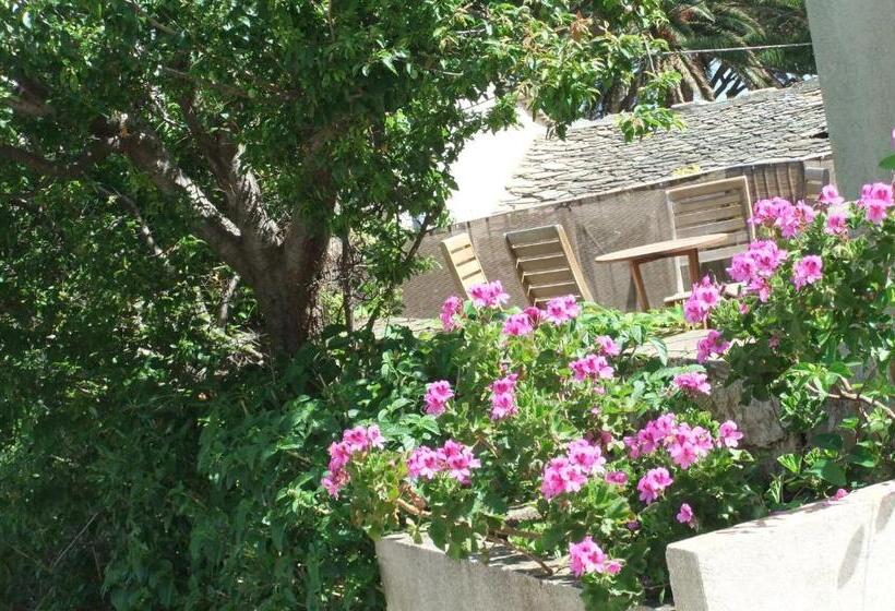 Трехместный Номер Стандарт Вид на Сад, U Pozzu