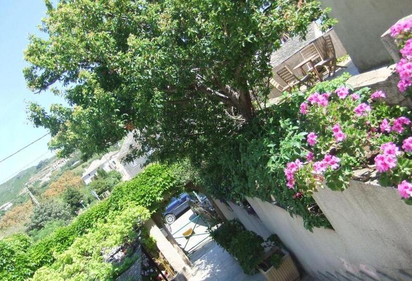 Трехместный Номер Стандарт Вид на Сад, U Pozzu