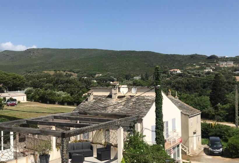 Номер Basic, U Pozzu