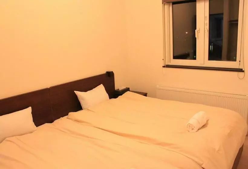 1ベッドルームのデラックスアパートメント, Tsuru Apartments