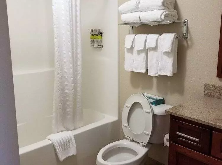 ダブルベッドのスタンダードスタジオ, Candlewood Suites Cape Girardeau By Ihg