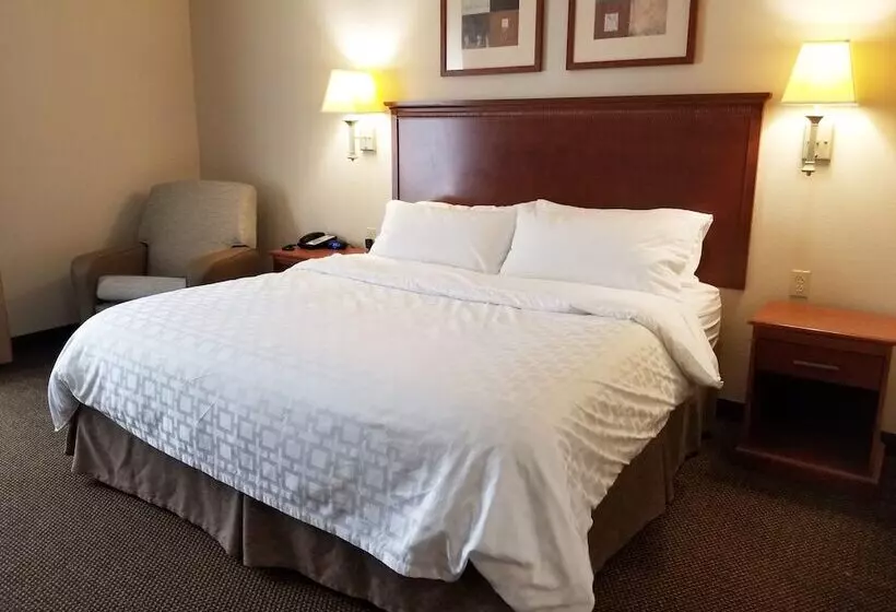 ダブルベッドのスタンダードスタジオ, Candlewood Suites Cape Girardeau By Ihg