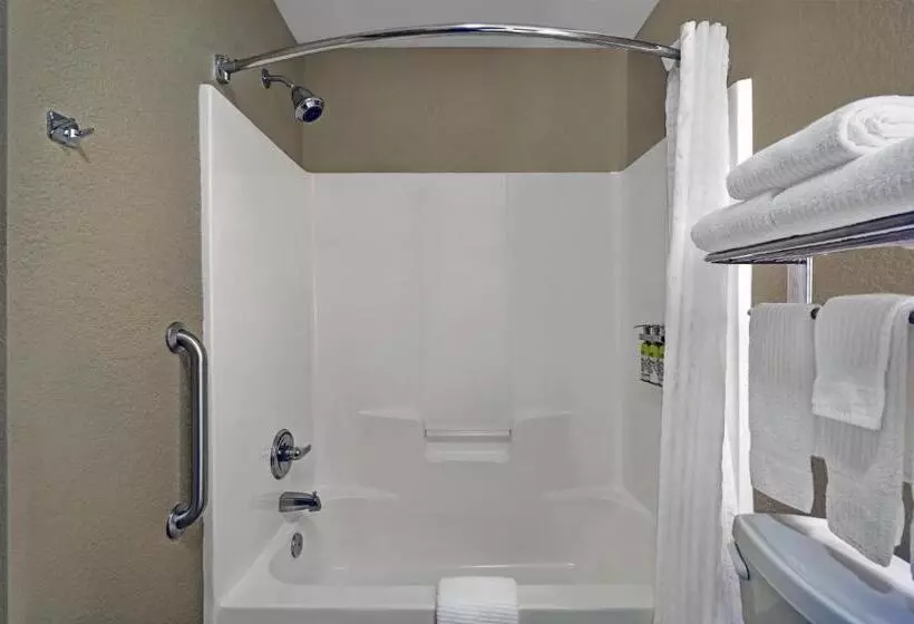 キングサイズベッドのスタンダードルーム, Candlewood Suites Sumter, An Ihg