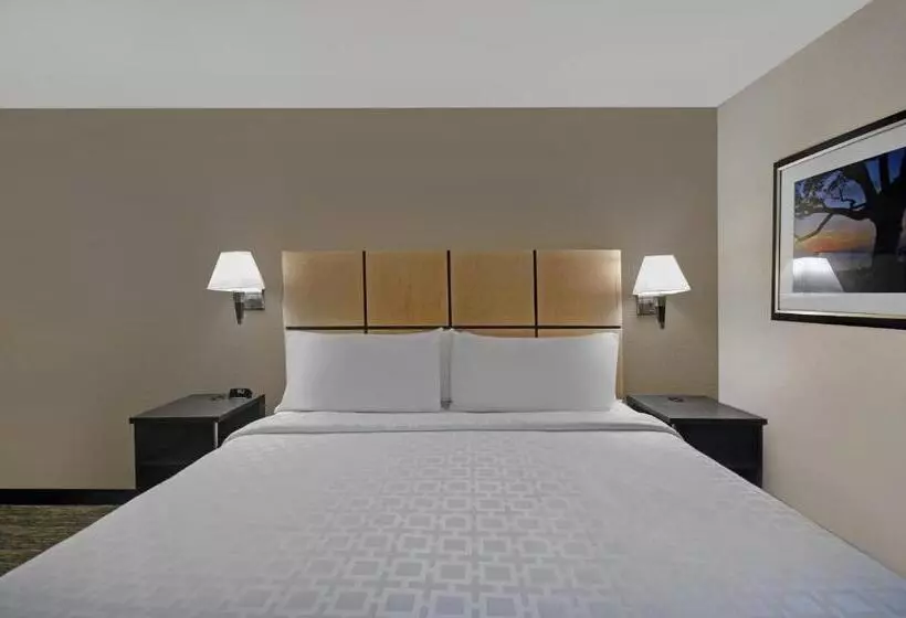 キングサイズベッドのスタンダードルーム, Candlewood Suites Sumter, An Ihg