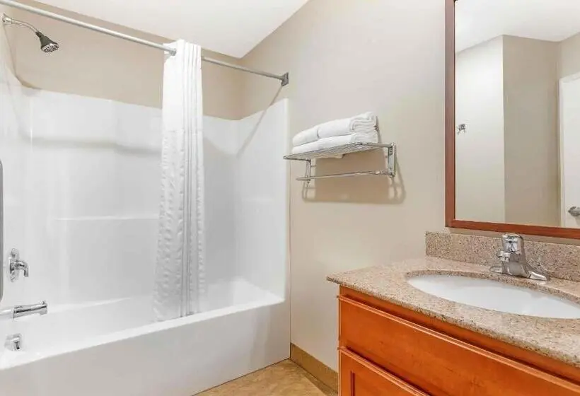 キングサイドベッドのスタンダードワンルーム, Extended Stay America Suites Bartlesville Hwy 75