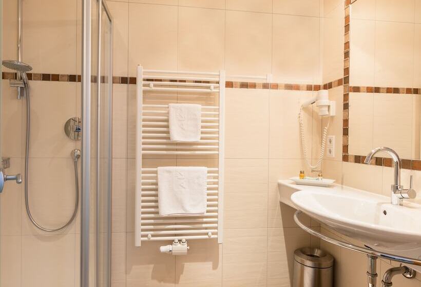 Номер Стандарт Индивидуальный, Almhof