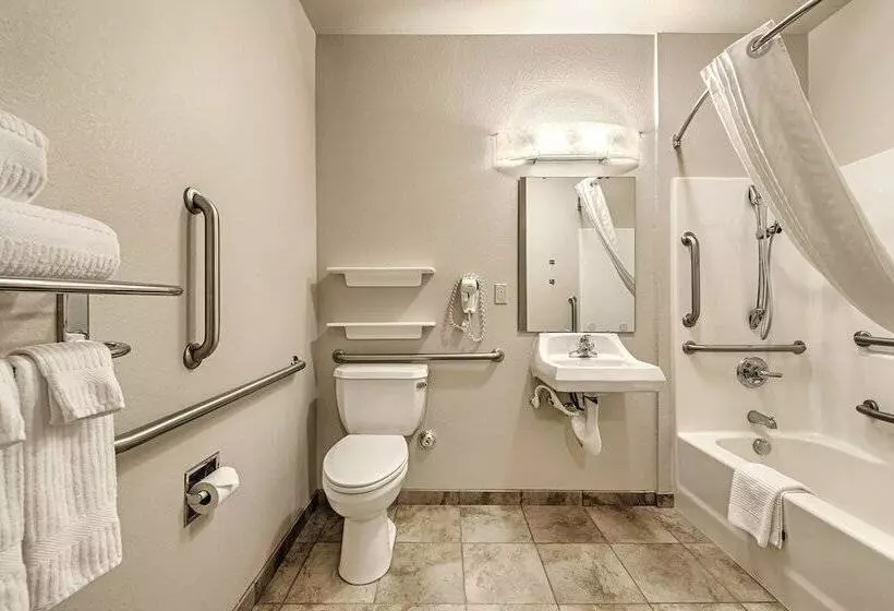 身障者適用スイートルーム, Candlewood Suites Oak Harbor, An Ihg