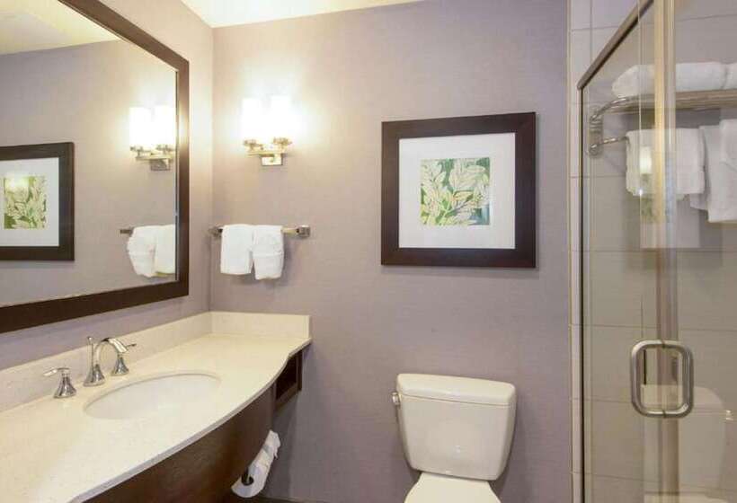 小型套房, Hilton Garden Inn Raleigh Cary
