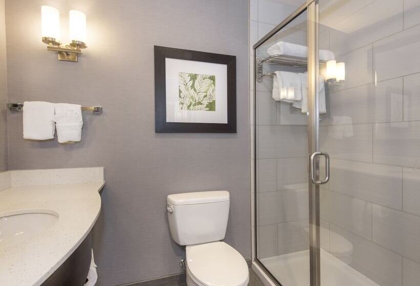 سوییت جونیور, Hilton Garden Inn Raleigh Cary