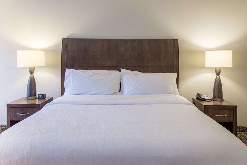 سوییت جونیور, Hilton Garden Inn Raleigh Cary