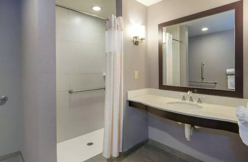 キングサイズベッドのスタンダードルーム, Hilton Garden Inn Raleigh Cary