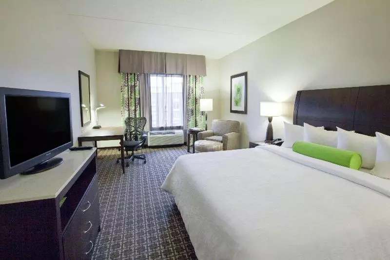 キングサイズベッドのスタンダードルーム, Hilton Garden Inn Raleigh Cary