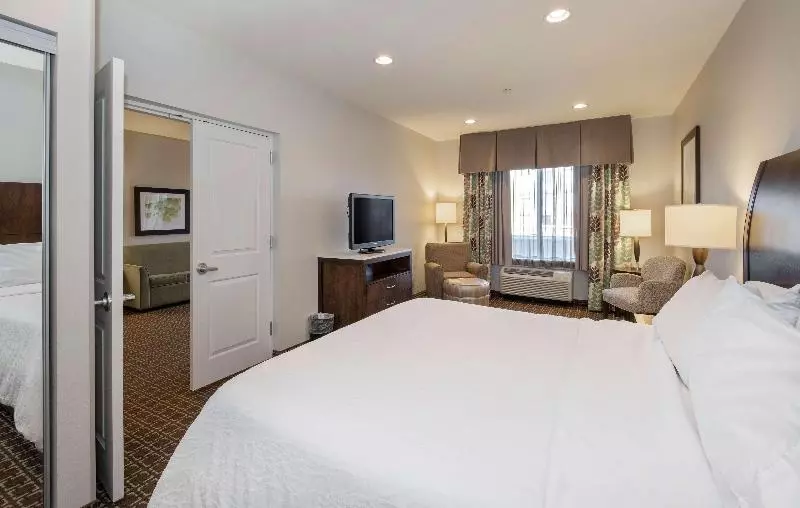 キングサイズベッドのスイートルーム, Hilton Garden Inn Raleigh Cary