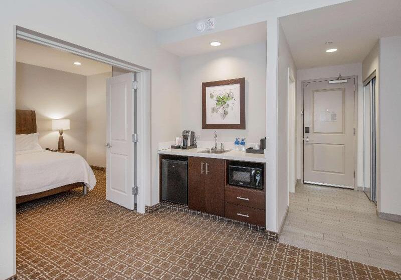 带大床的套房, Hilton Garden Inn Raleigh Cary