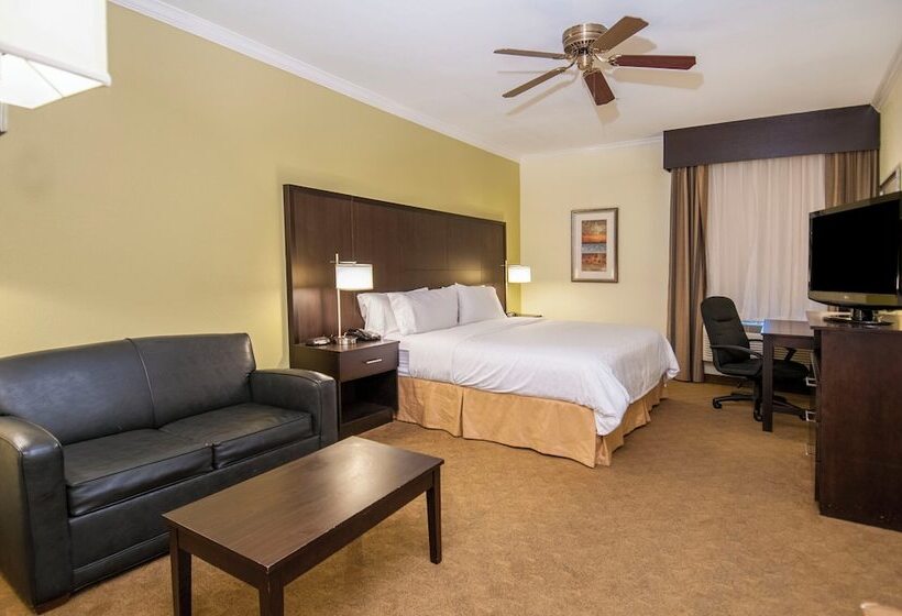 スイート, Holiday Inn Express Hotel & Suites Houston North Intercontinental, An Ihg