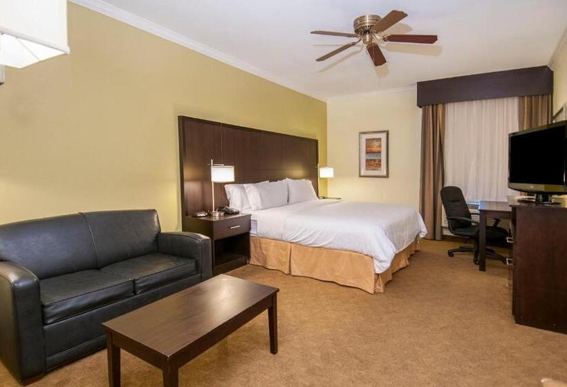 キングサイズベッドのスタンダードルーム, Holiday Inn Express Hotel & Suites Houston North Intercontinental, An Ihg
