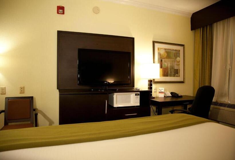 キングサイズベッドのスイートルーム, Holiday Inn Express Hotel & Suites Houston North Intercontinental, An Ihg