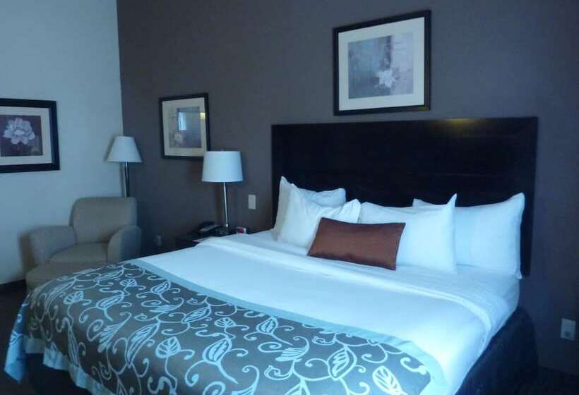 身障者適用スタンダードルーム, Wingate By Wyndham Erlanger   Florence   Cincinnati South