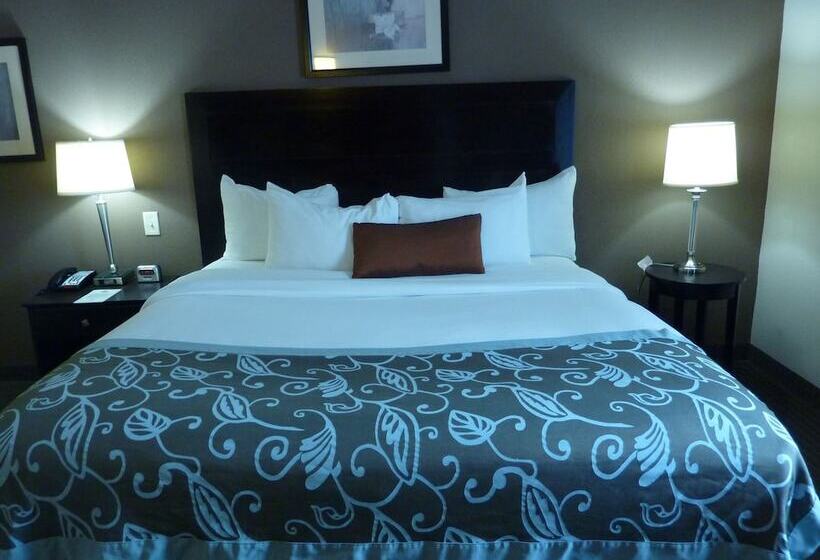 身障者適用スタンダードルーム, Wingate By Wyndham Erlanger   Florence   Cincinnati South