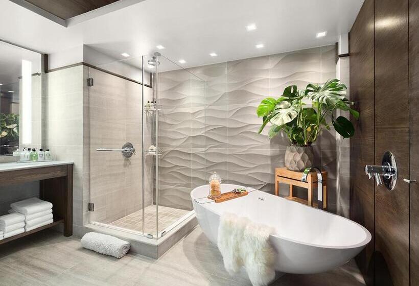 阁楼房, 48lex New York