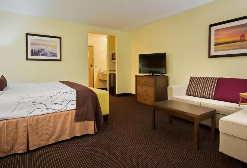 キングサイズベッドのスイートルーム, White Pine Inn & Suites