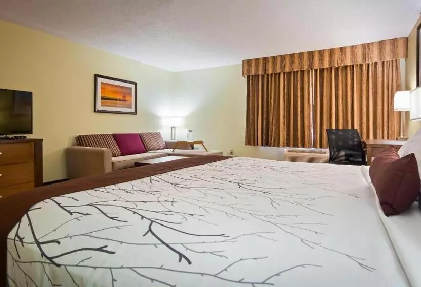 キングサイズベッドのスイートルーム, White Pine Inn & Suites