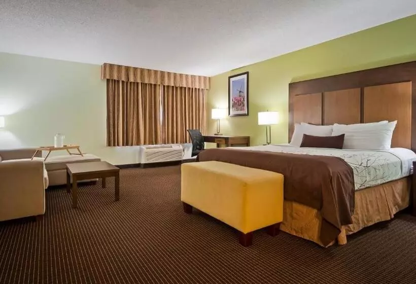 キングサイズベッドのスイートルーム, White Pine Inn & Suites