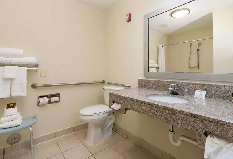 キングサイズベッドのスタンダードルーム, White Pine Inn & Suites