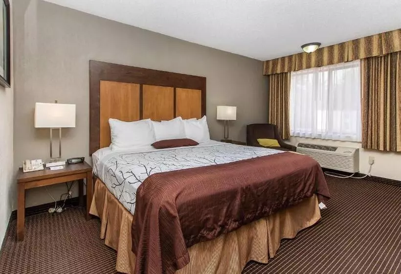 キングサイズベッドのスタンダードルーム, White Pine Inn & Suites
