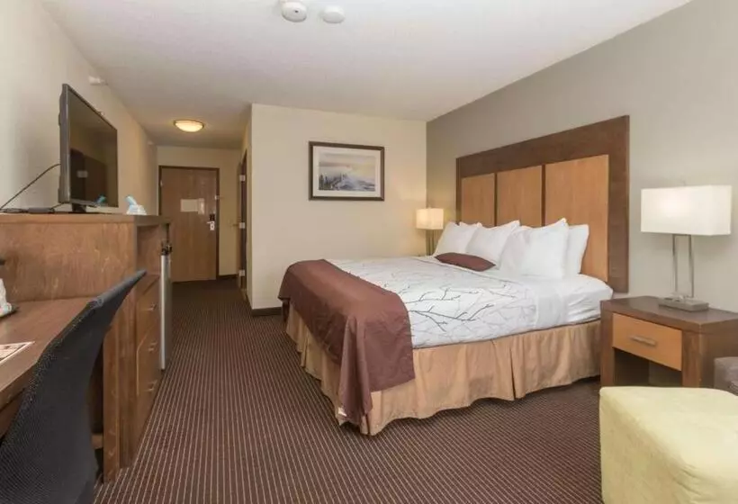 キングサイズベッドのスタンダードルーム, White Pine Inn & Suites