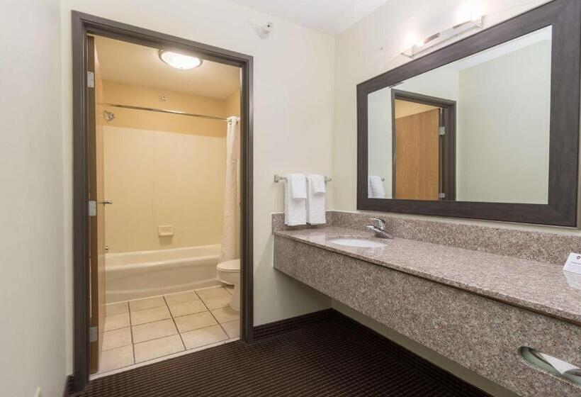 Люкс Кровать Кинг, White Pine Inn & Suites