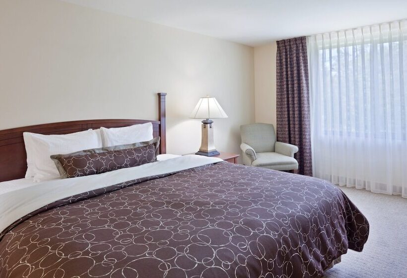带2个卧室的套房, Staybridge Suites Everett   Paine Field, An Ihg