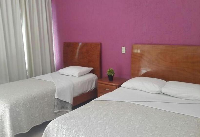 エコノミールーム, Vista Verde