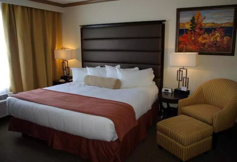 身障者適用キングサイズベッドルーム, Camrose Resort Casino