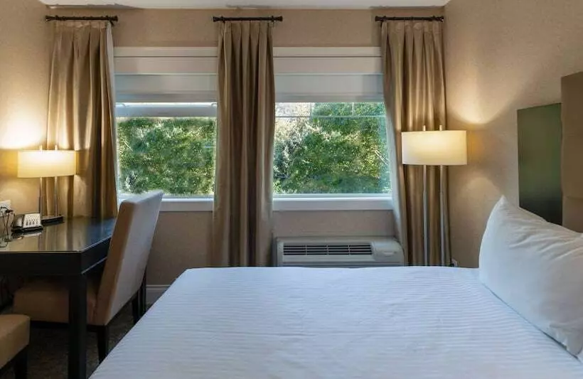 ２ダブルベッドのスタンダードルーム, Prestige Oceanfront Resort, Worldhotels Luxury