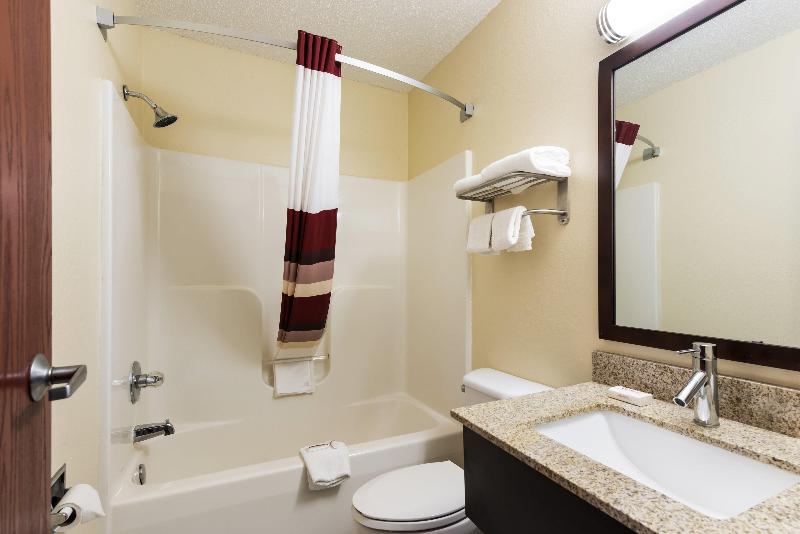 스탠다드 룸 킹사이즈 침대, Red Roof Inn Auburn