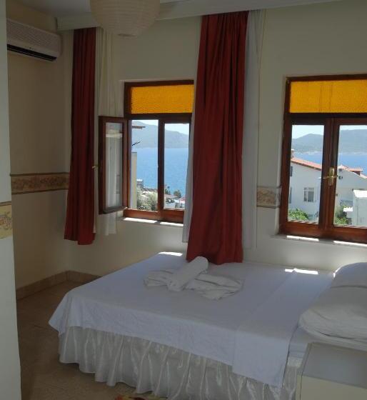 غرفة قياسية, Ates Pension