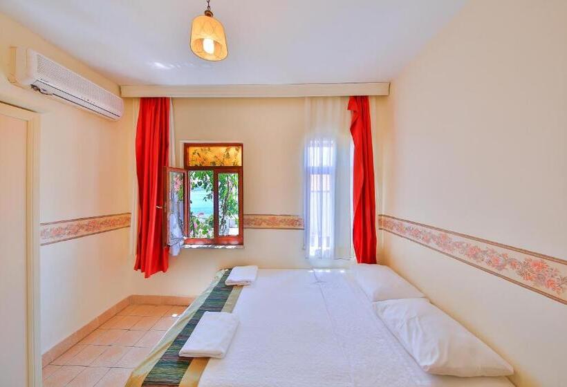 غرفة قياسية, Ates Pension